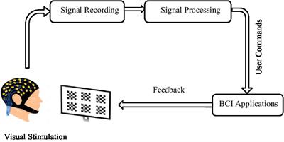 Fatigue factors and fatigue indices in SSVEP-based brain-computer interfaces: a systematic review and meta-analysis